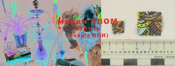 СК Дмитров
