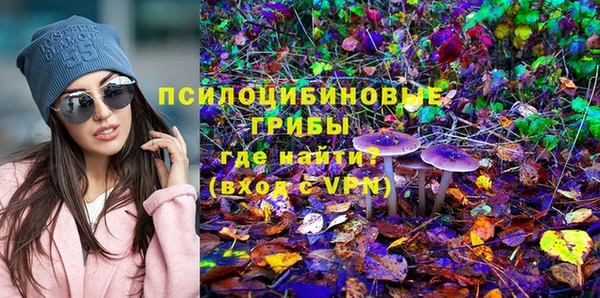 СК Дмитров