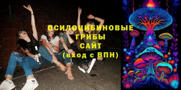 дживик Дмитровск