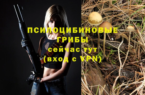 не бодяженный Дмитриев
