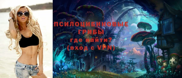 не бодяженный Дмитриев