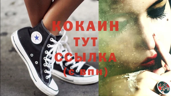 СК Дмитров