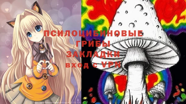 дживик Дмитровск