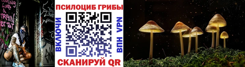 Купить где  Ирбит  Псилоцибиновые грибы Psilocybine cubensis 